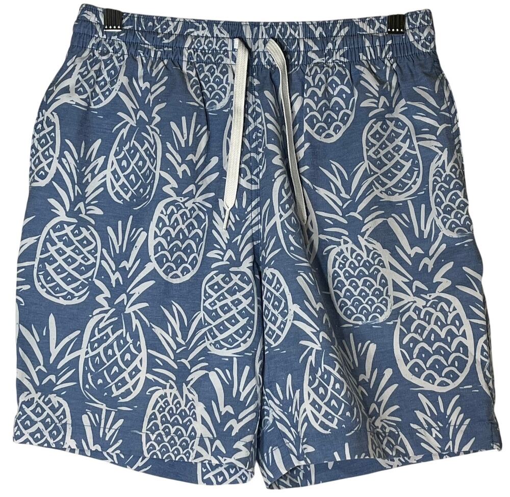 Chubbies Pineapple Print Swim Trunks Baby Blue White Mens Size S